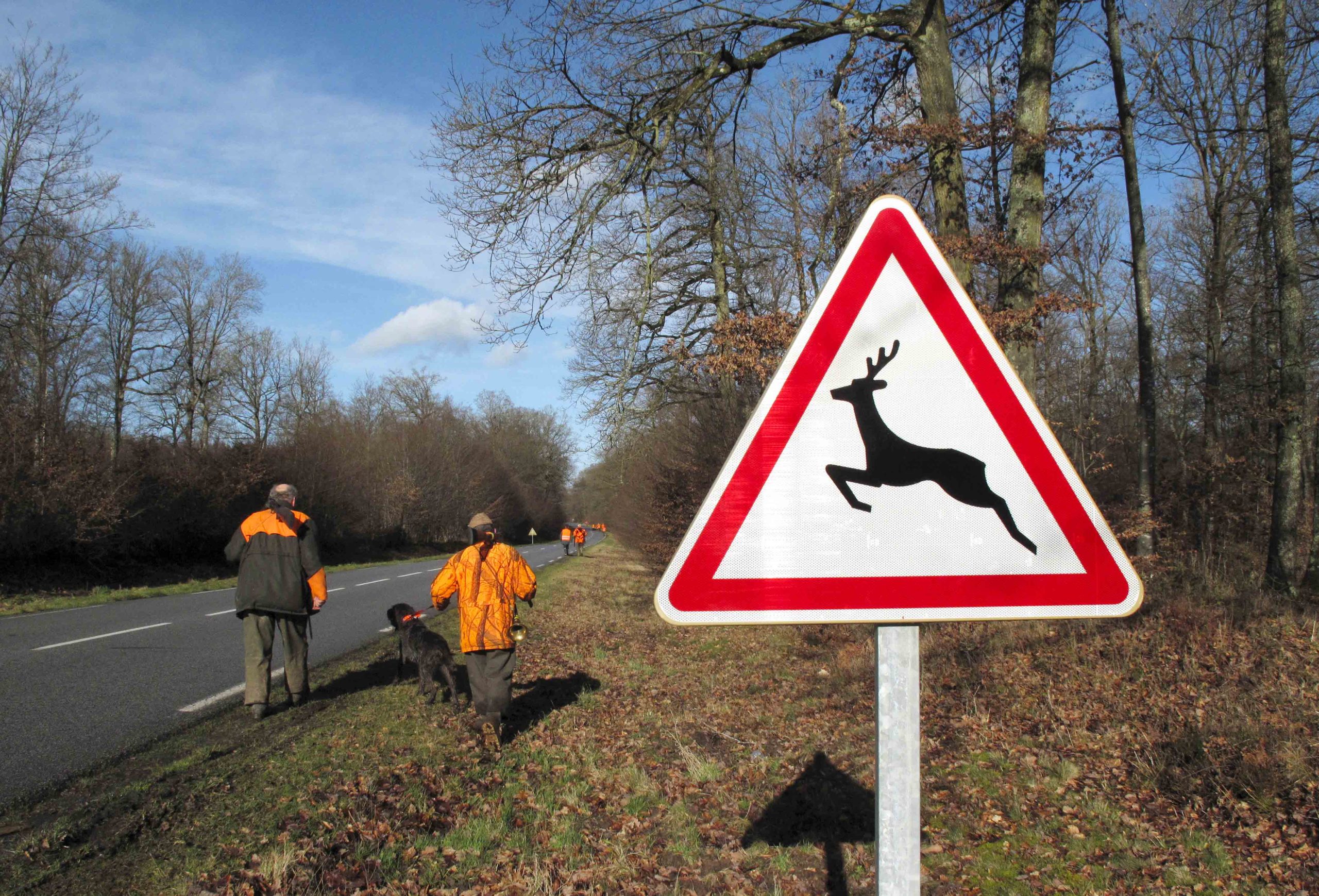 Proposition de loi antichasse : Les Verts ont décidément grand besoin des chasseurs !