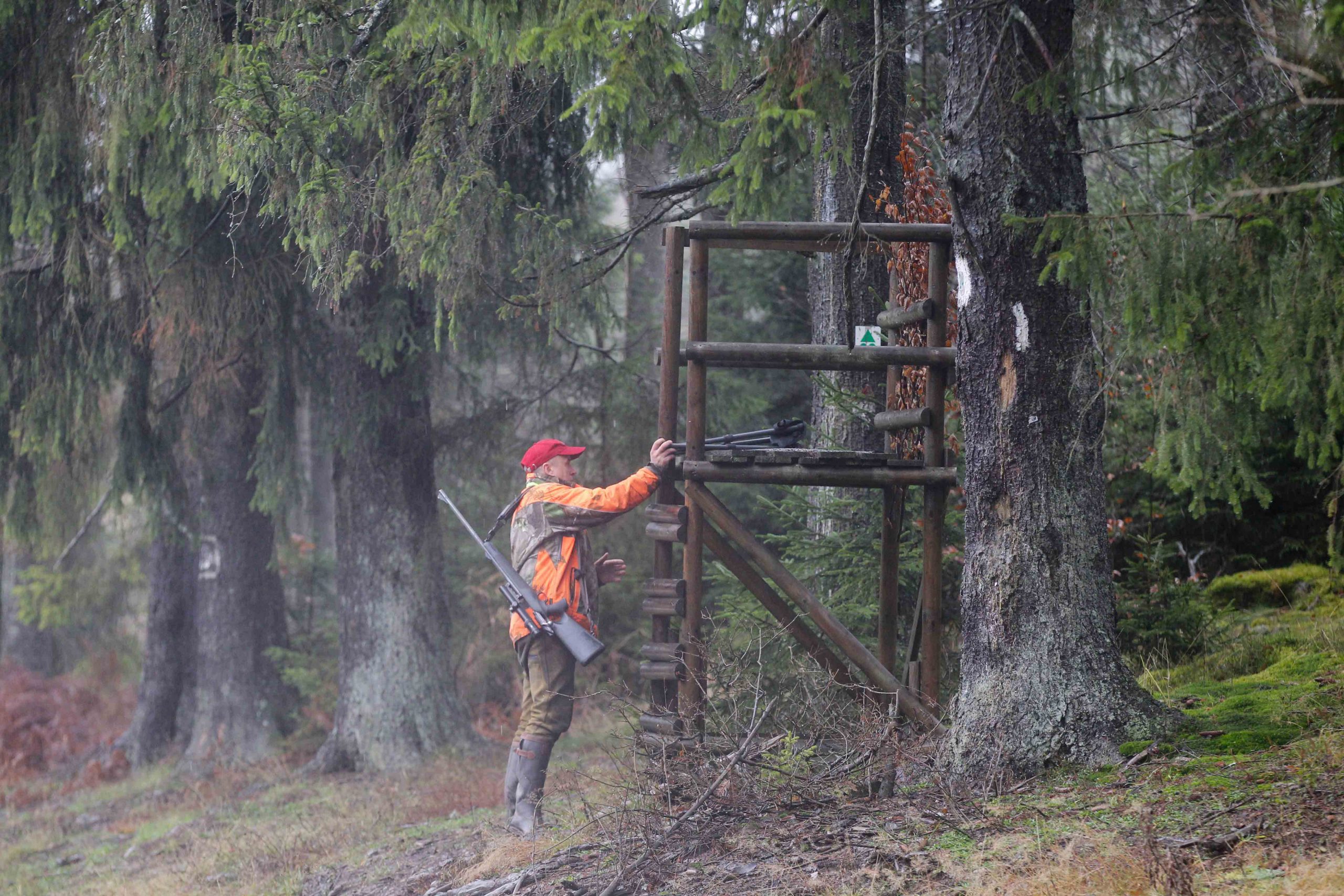 Sécurité à la chasse : Les pistes du Sénat…