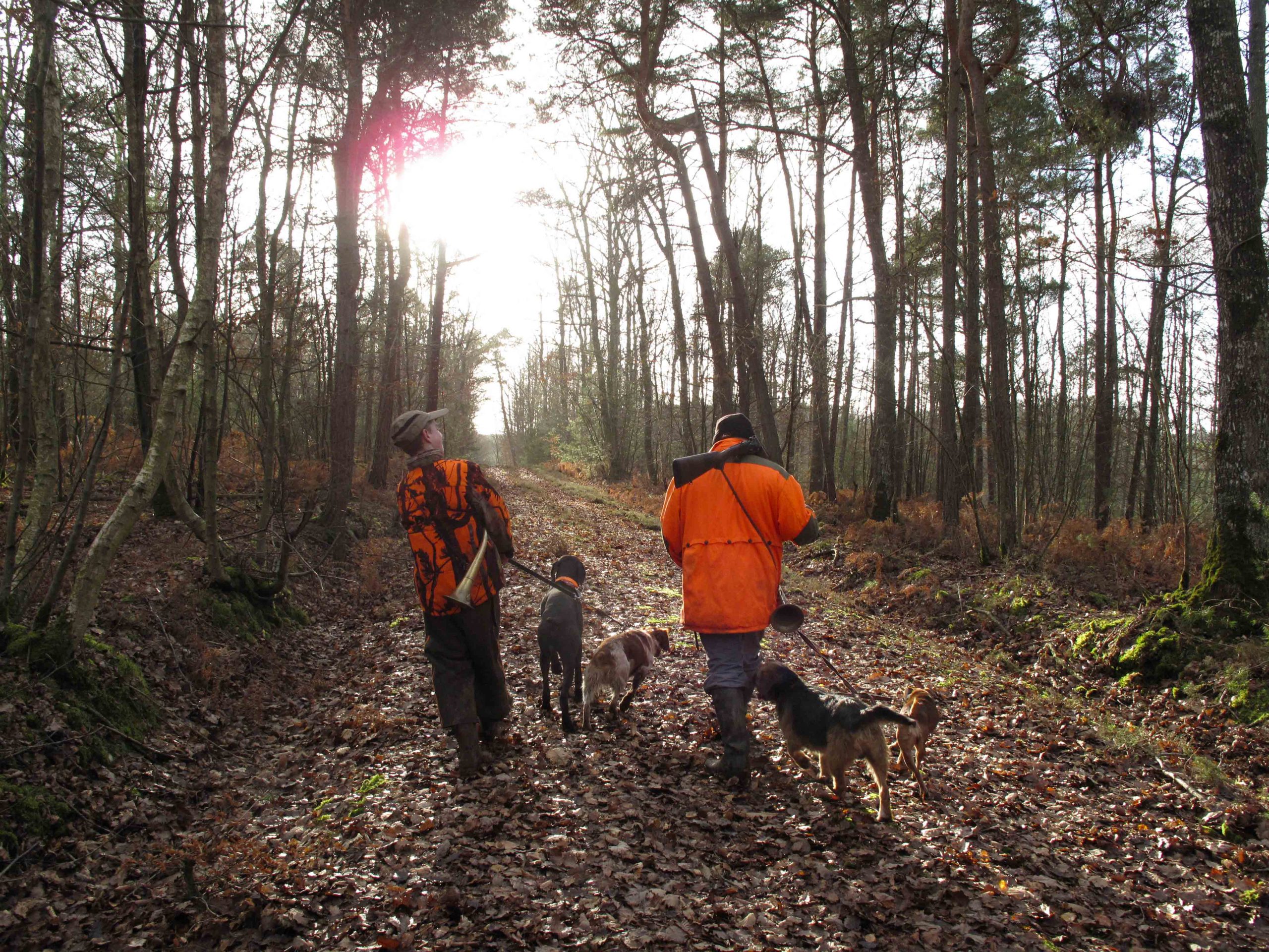 Dossier assurances : Les assurances de chasse : Moins simples qu’il n’y parait