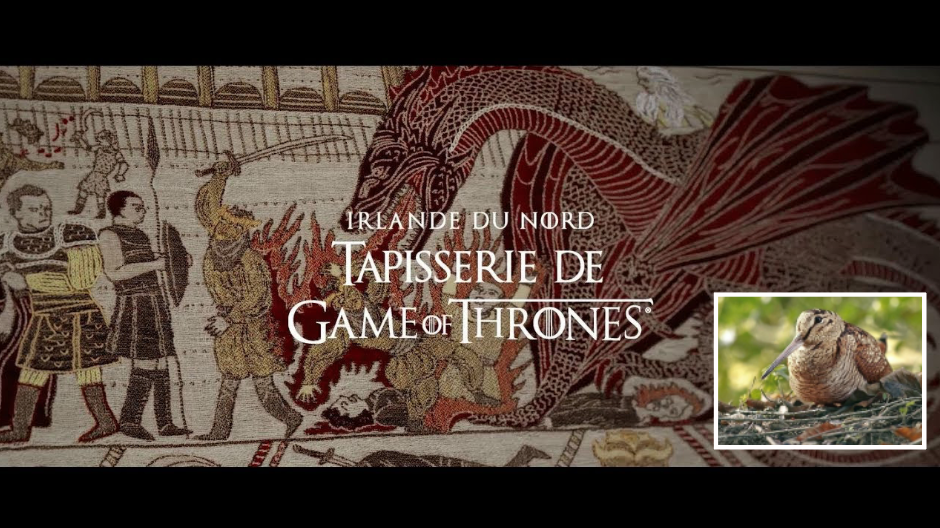 Game of Thrones : une série dangereuse pour les bécasses ?
