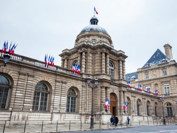 Pétition en ligne : les dangers de la démocratie participative