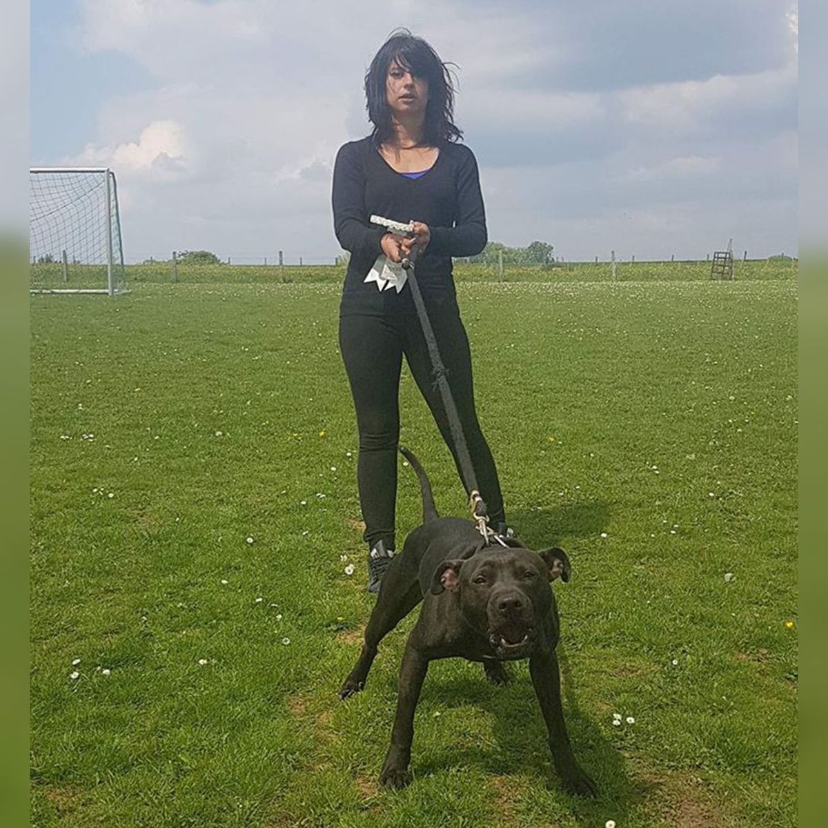 Affaire Elisa Pilarski : Le chien Curtis est le seul coupable