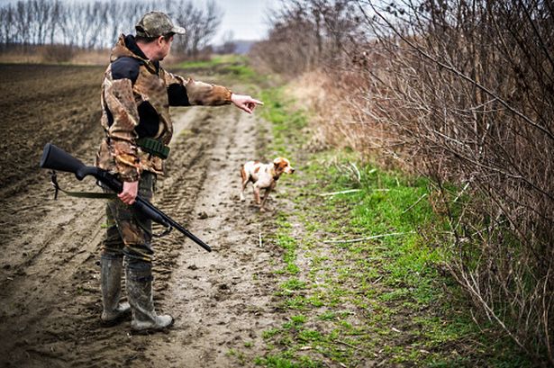 Confinement : chasseurs ou simples régulateurs de la faune ?