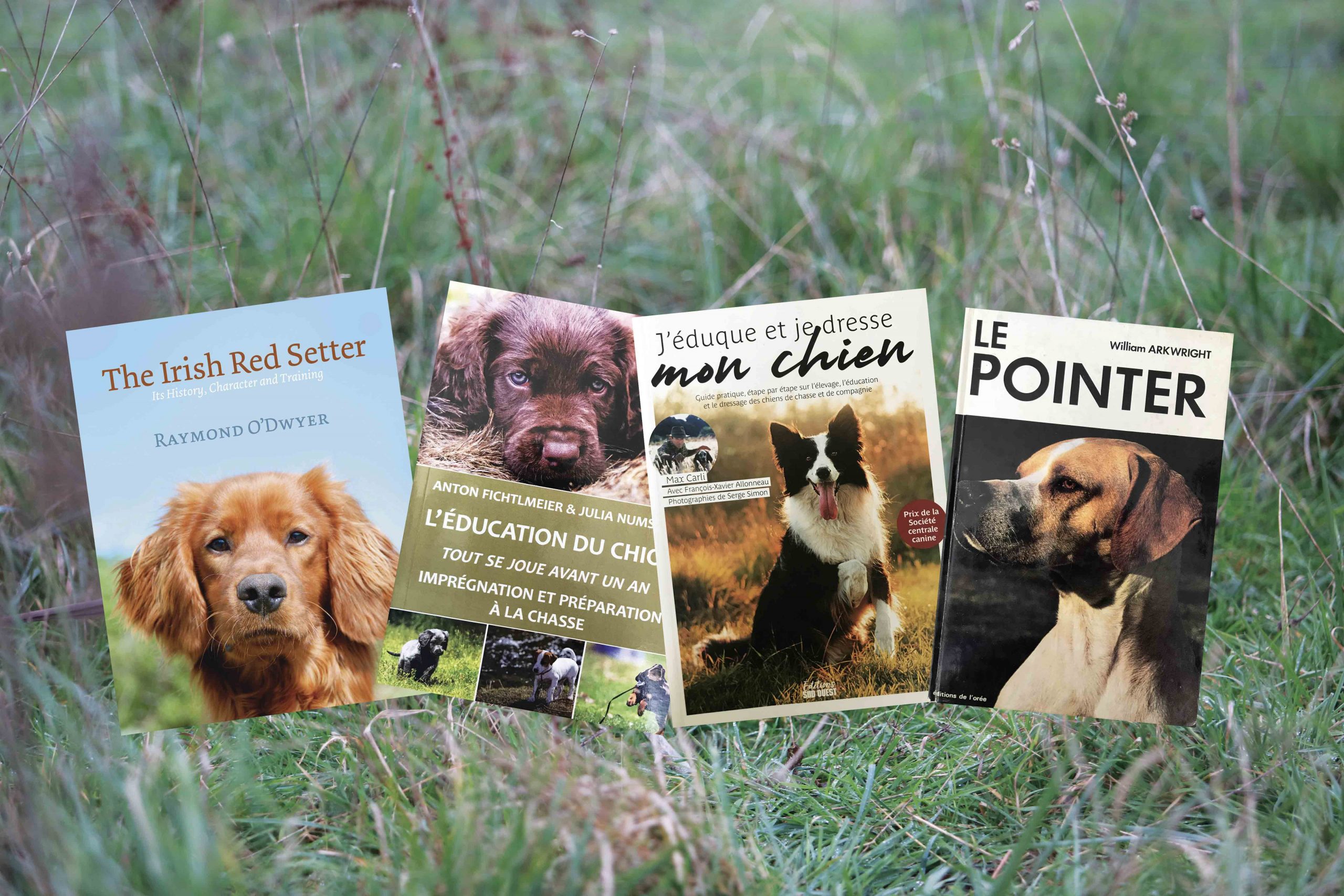 Savoir bien utiliser son chien…