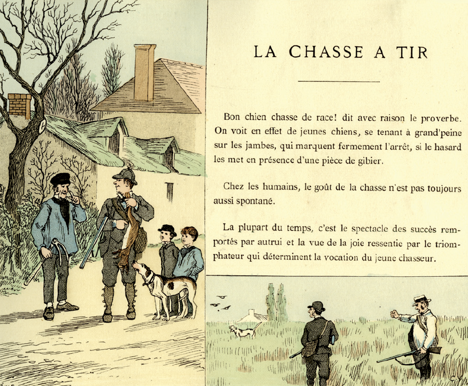 Crafty : le malicieux