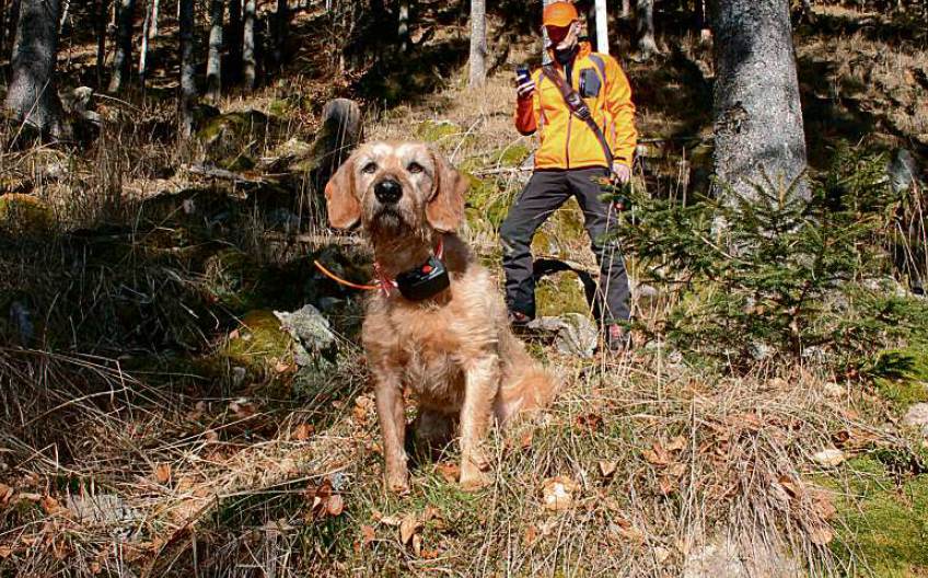 L’électronique, avenir du chasseur