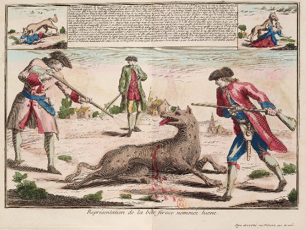 La Bête du Gévaudan. Non ce n’était pas un loup…