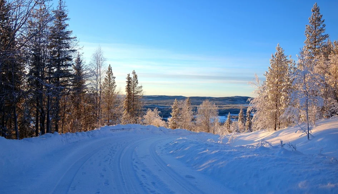 Laponie : Tétras au pays des neiges