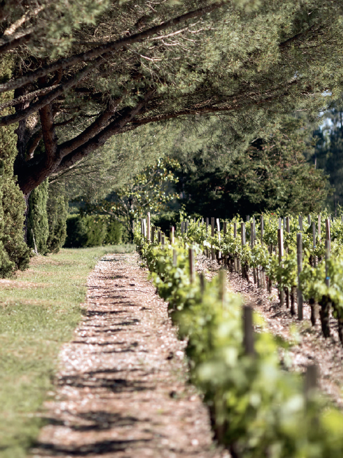 Flacons : Château Monbrison, terroir de Margaux