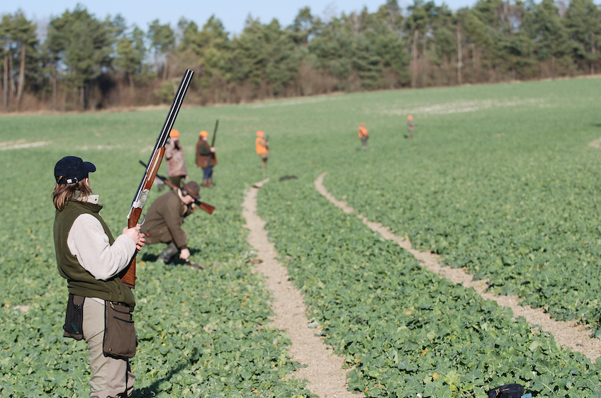 Les fondamentaux du tir de chasse