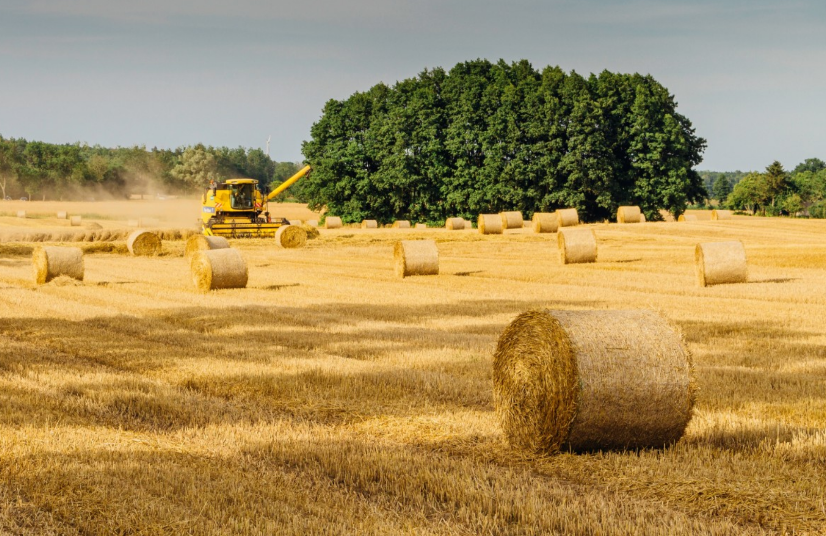 Statistiques. Les terres agricoles toujours recherchées