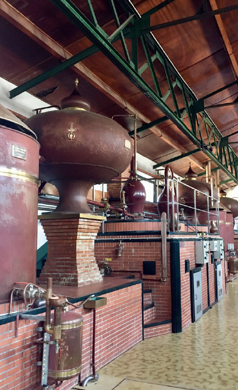 Distillerie de Moisans. Du cognac à la mixologie