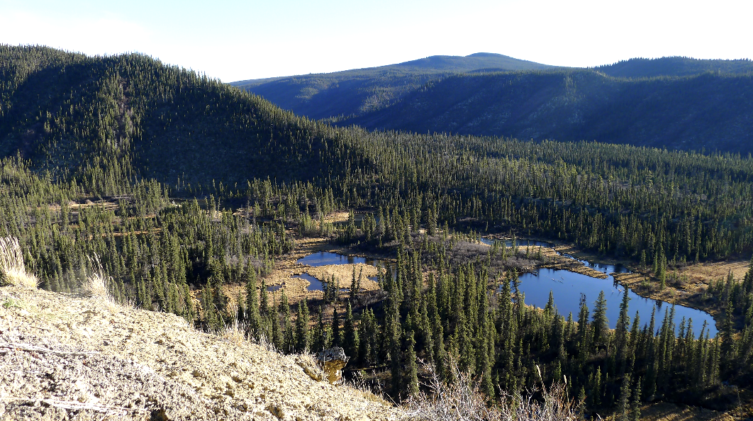 Les géants du Yukon