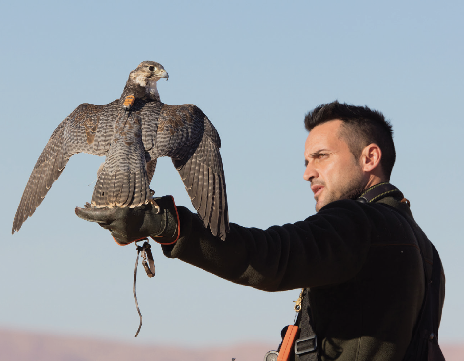« Chasser ? Quel intérêt ? » De la chasse conçue comme art