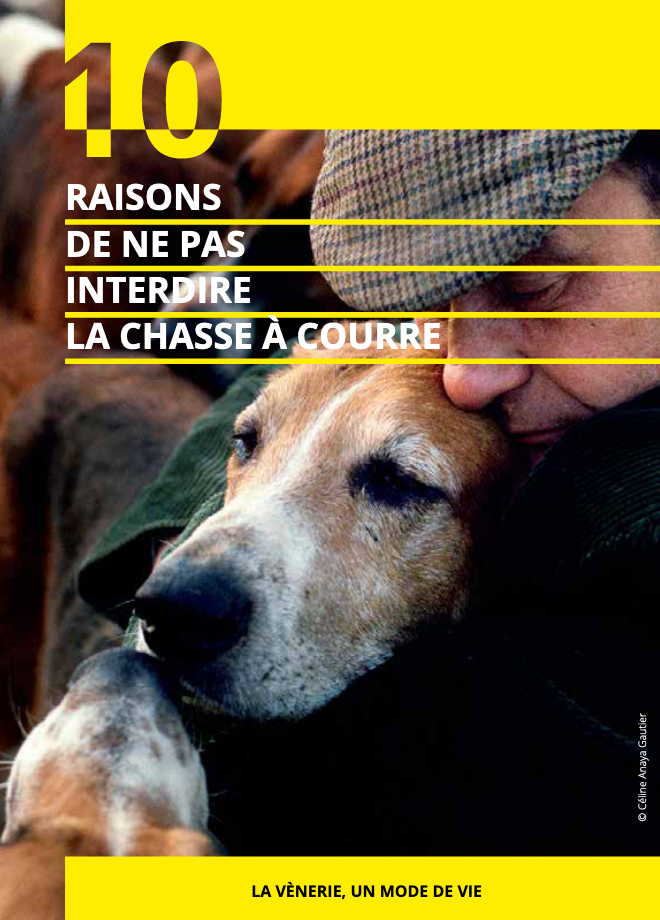 10 raisons de ne pas interdire la chasse à courre !