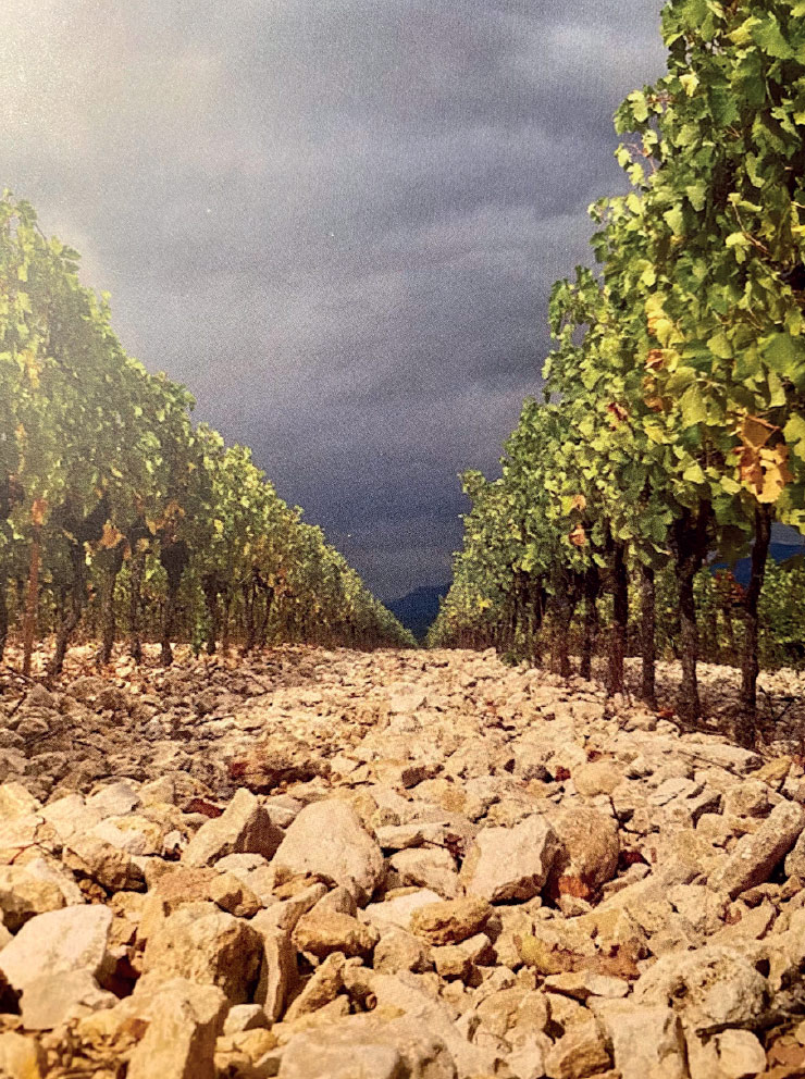 Château Capion : Terroir Languedoc