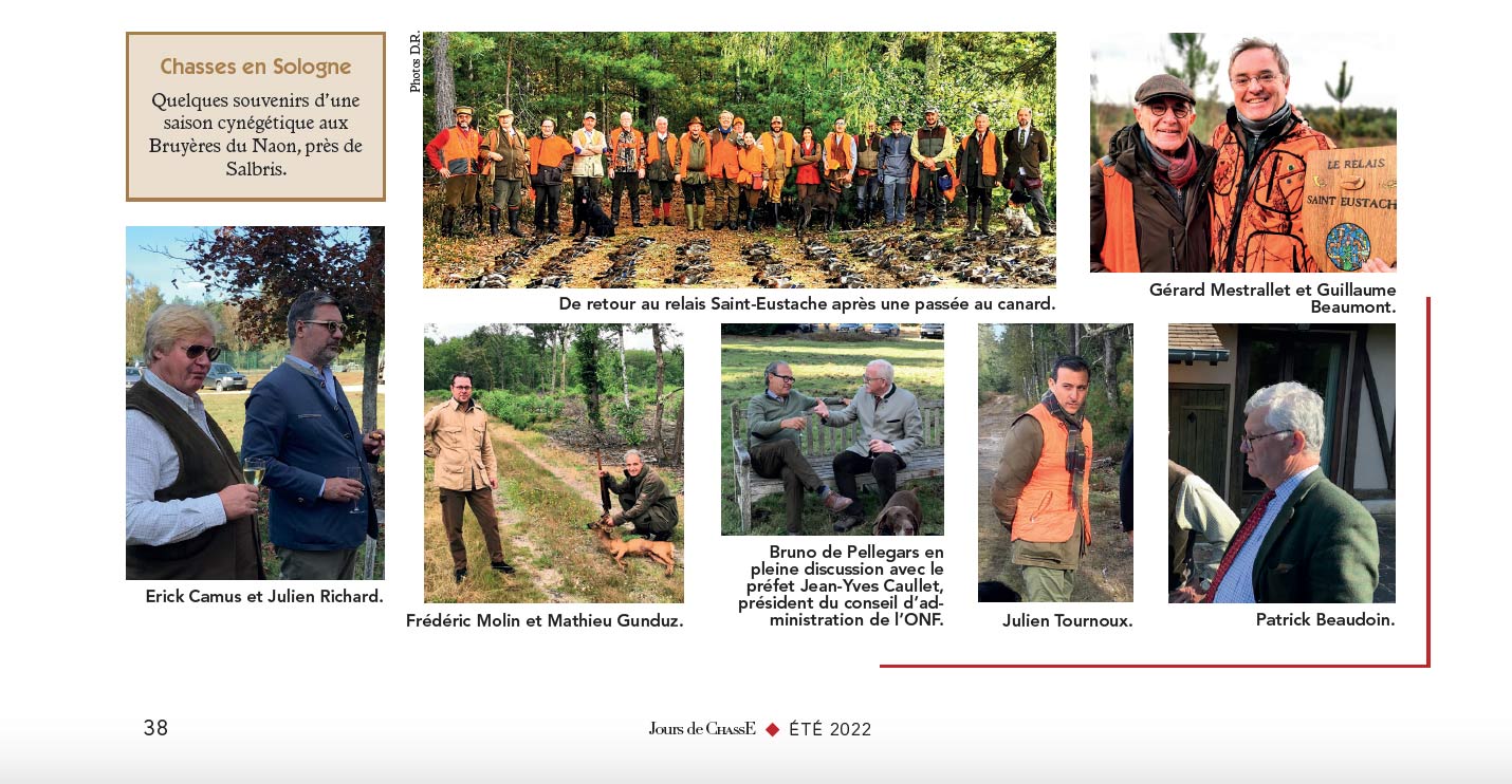 Chasses en Sologne