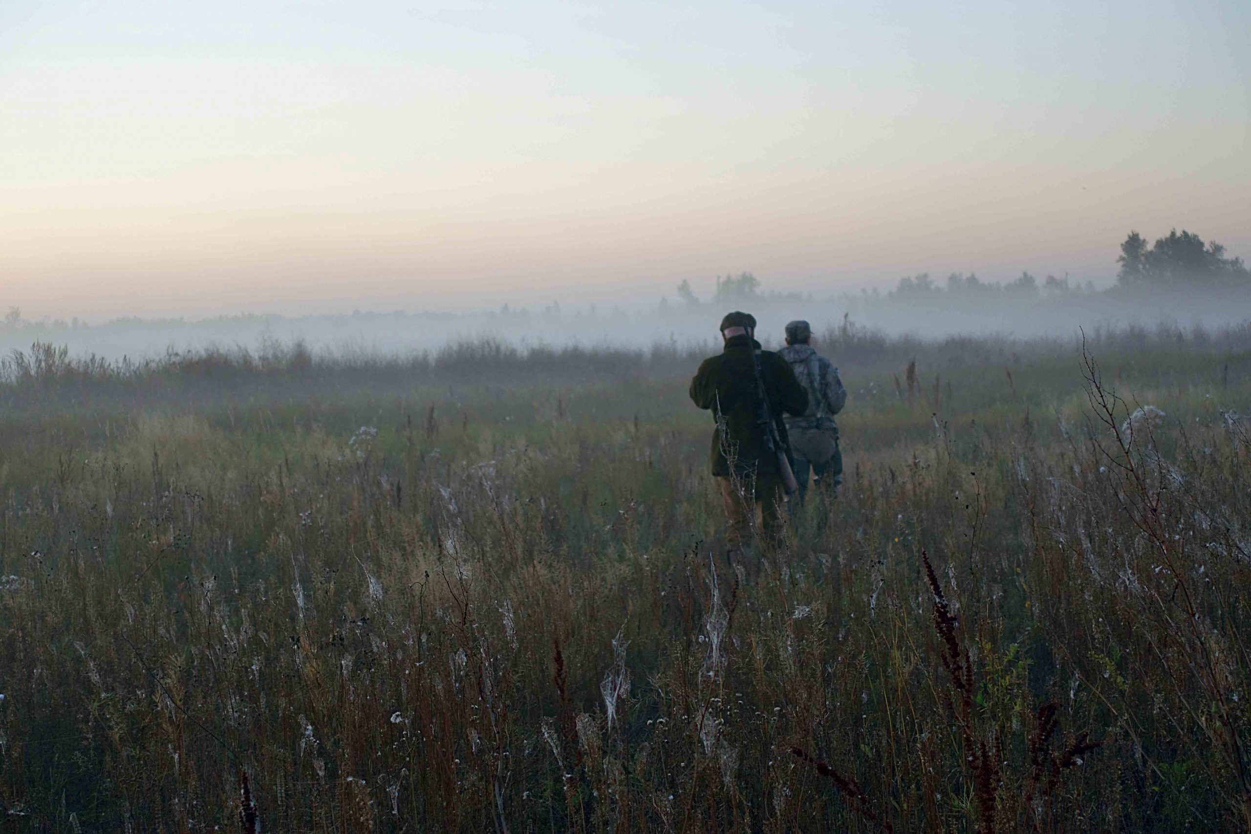 La steppe immense et sans limites