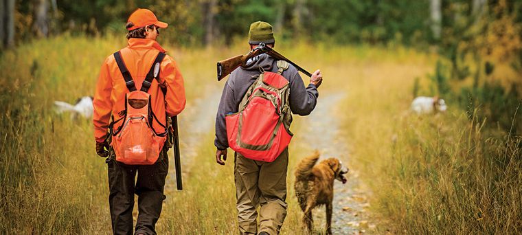 Accidents de chasse : jamais satisfaisant