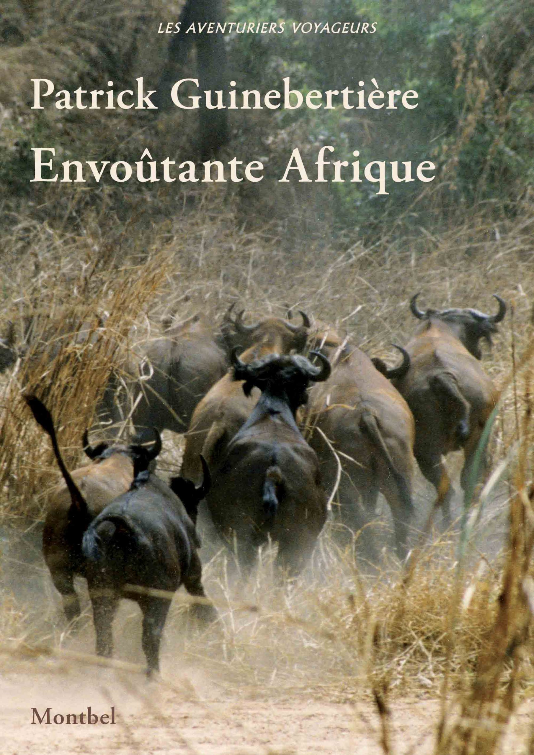 Envoûtante Afrique de Patrick Guinebertière