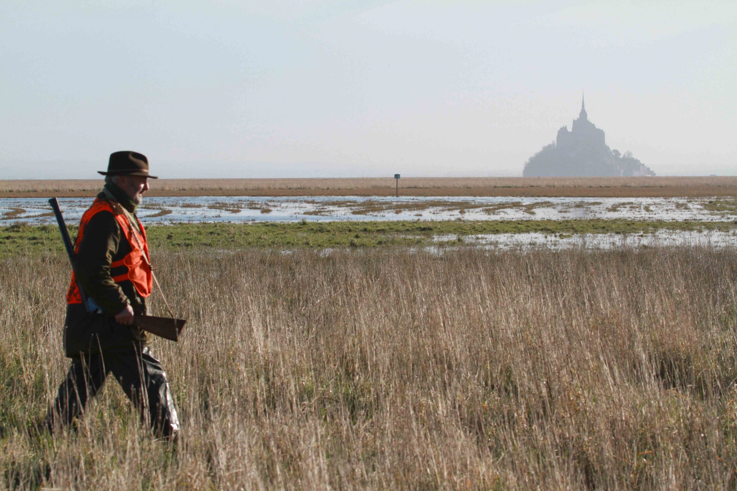 Baie du Mont-Saint-Michel : un colosse aux pieds d’argile