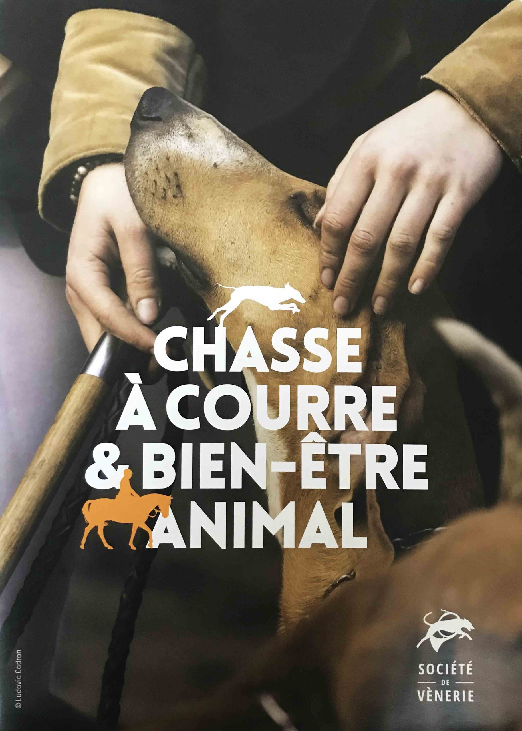 Société de Vénerie « Chasse à courre et bien-être animal »