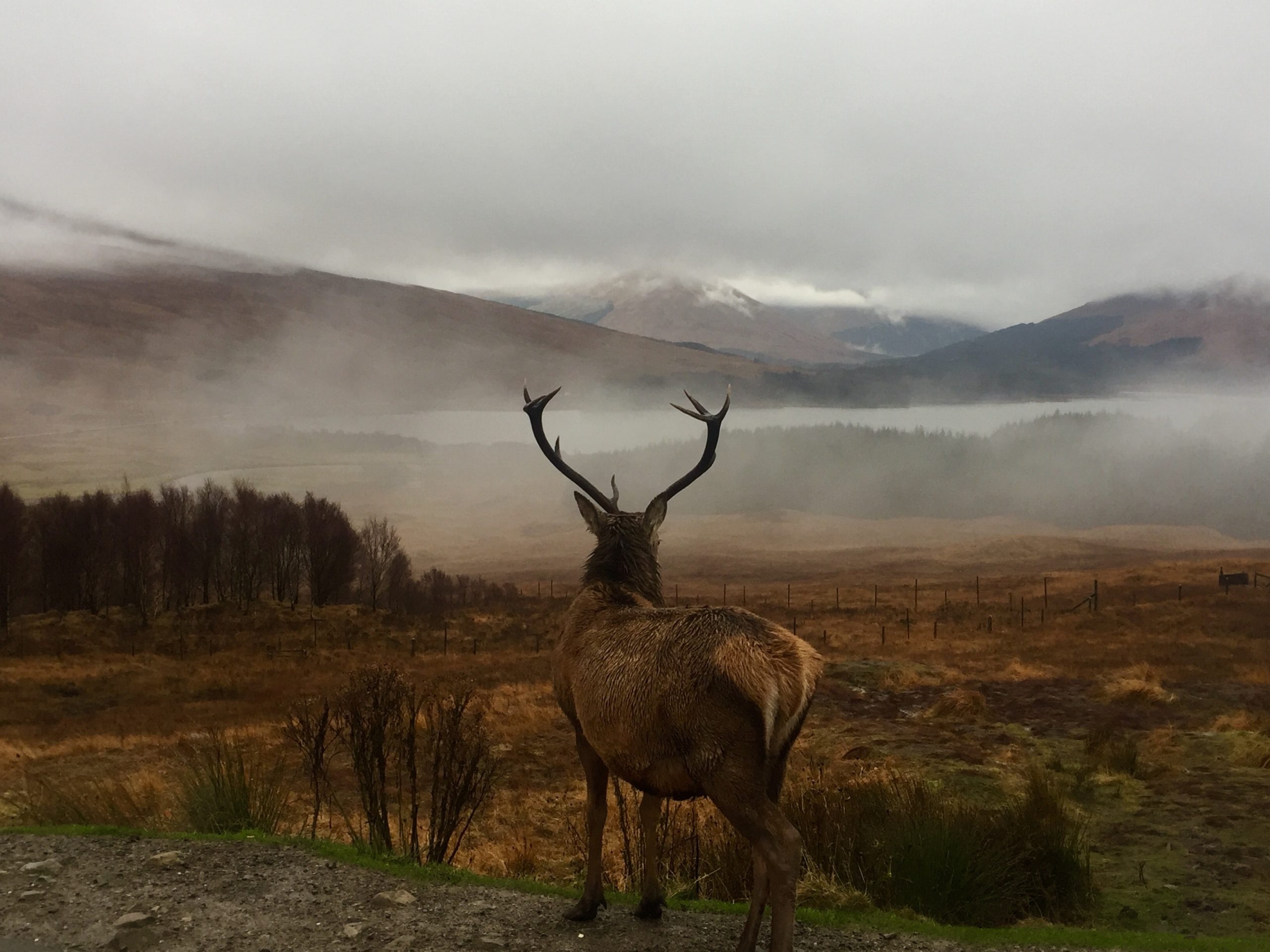 Un tango dans les Andes