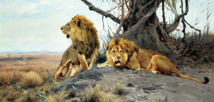 L’animal au coeur de la vie des hommes