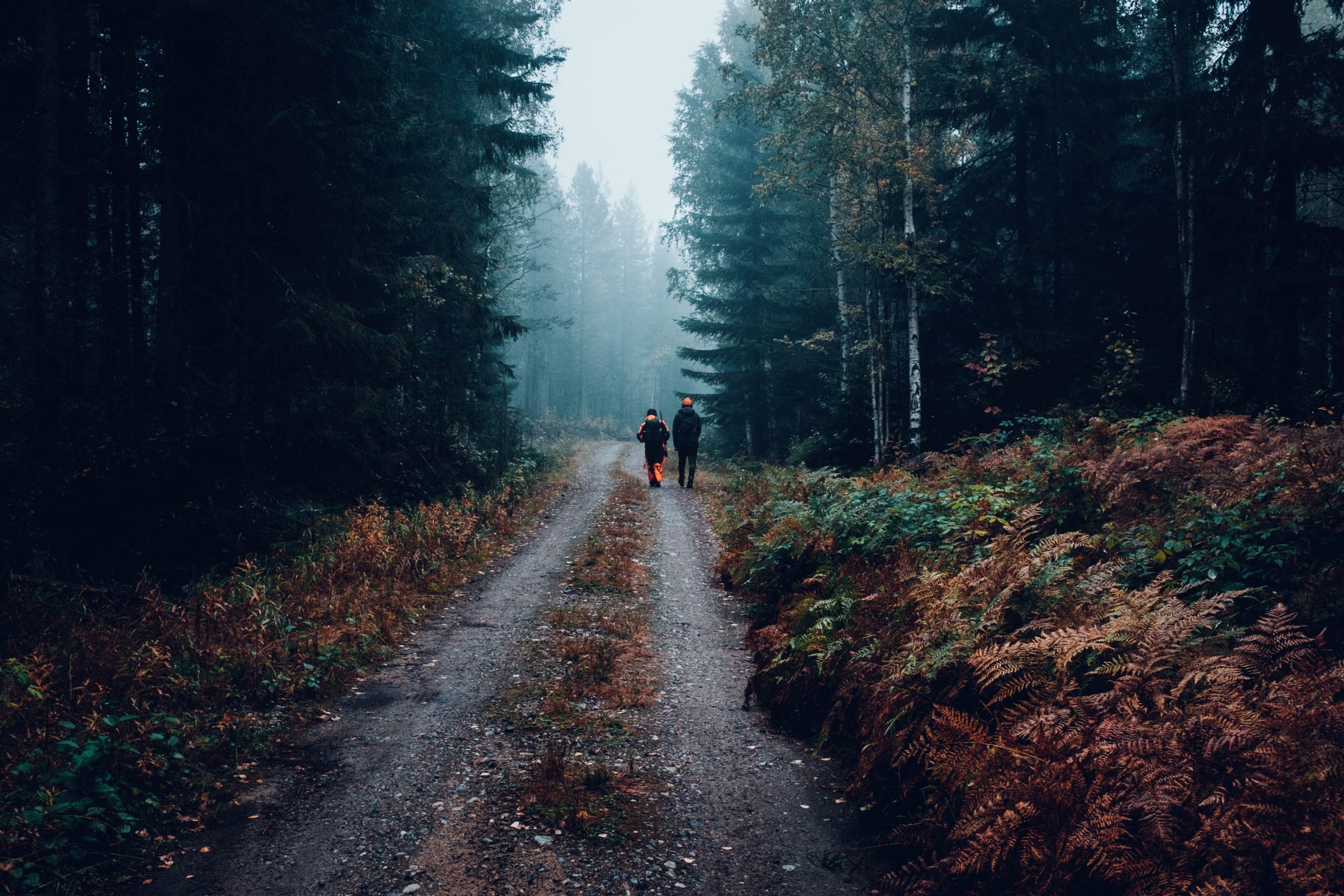 Accidents de chasse: jamais satisfaisant
