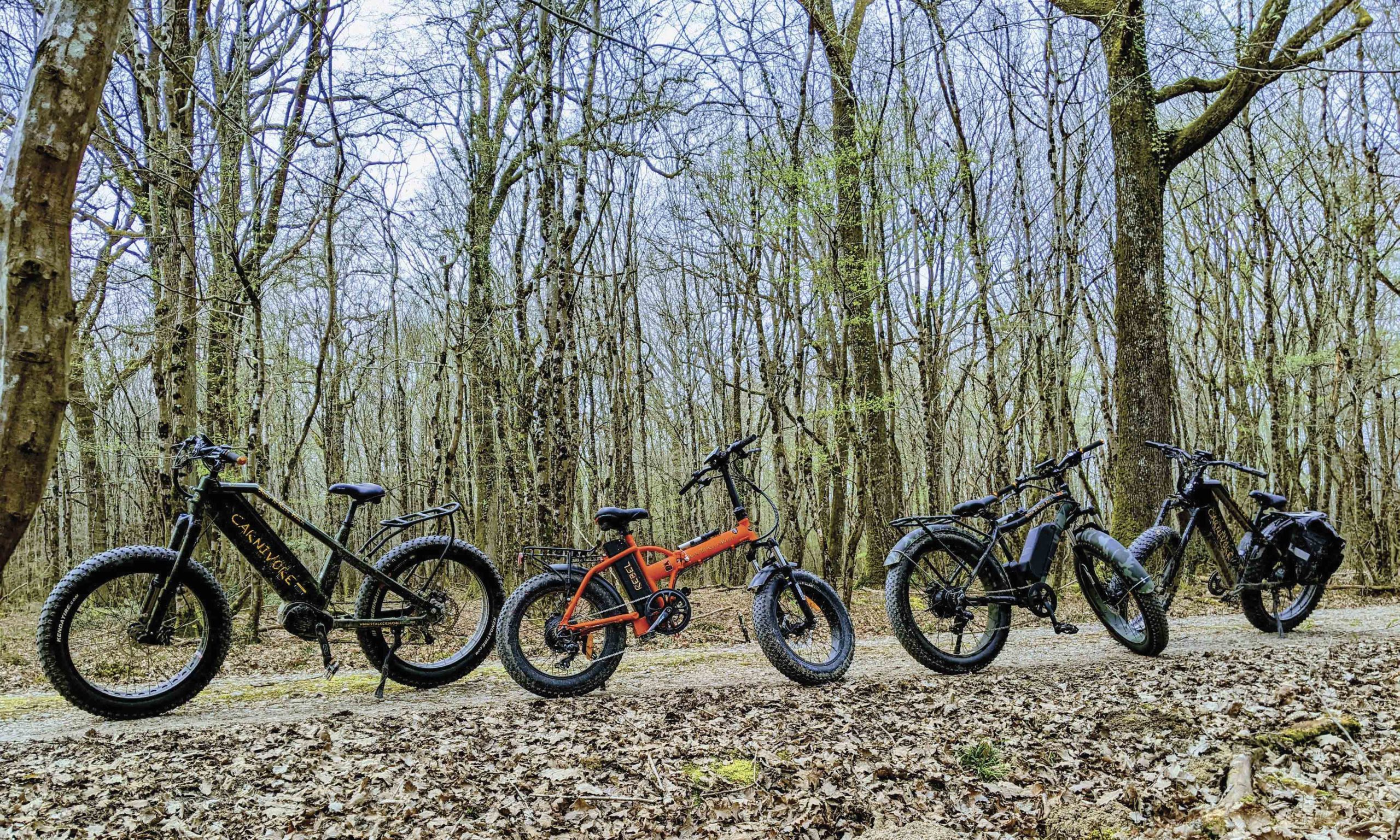 La Rolls des vélos électriques