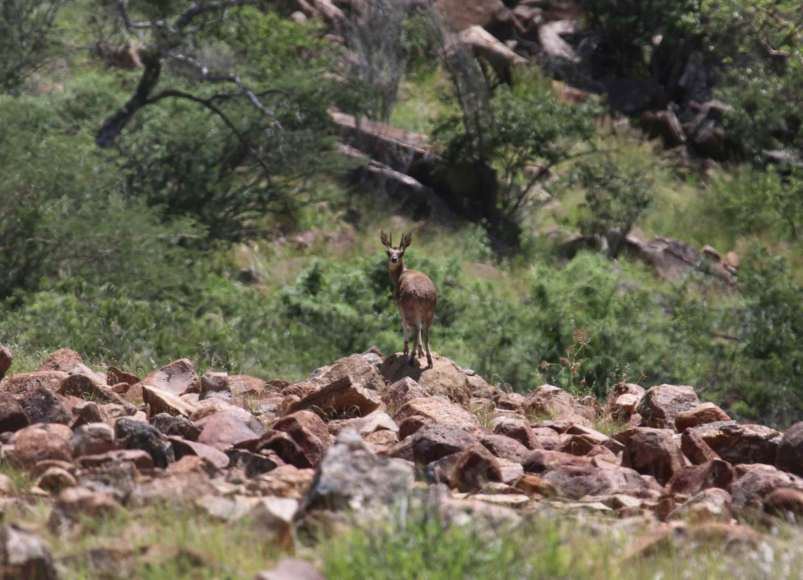 Namibie : Les fantômes d’Erongo