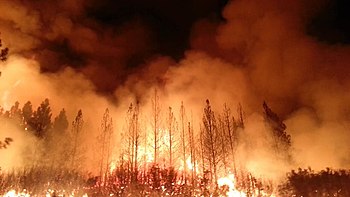 Incendies : les leçons des drames