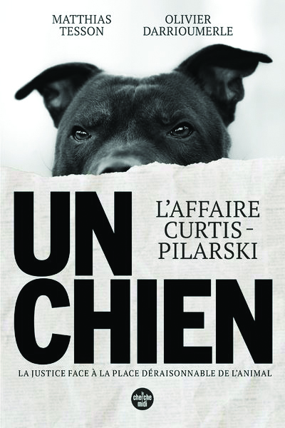 Un Chien de Matthias Tesson et d’Olivier Darrioumerle