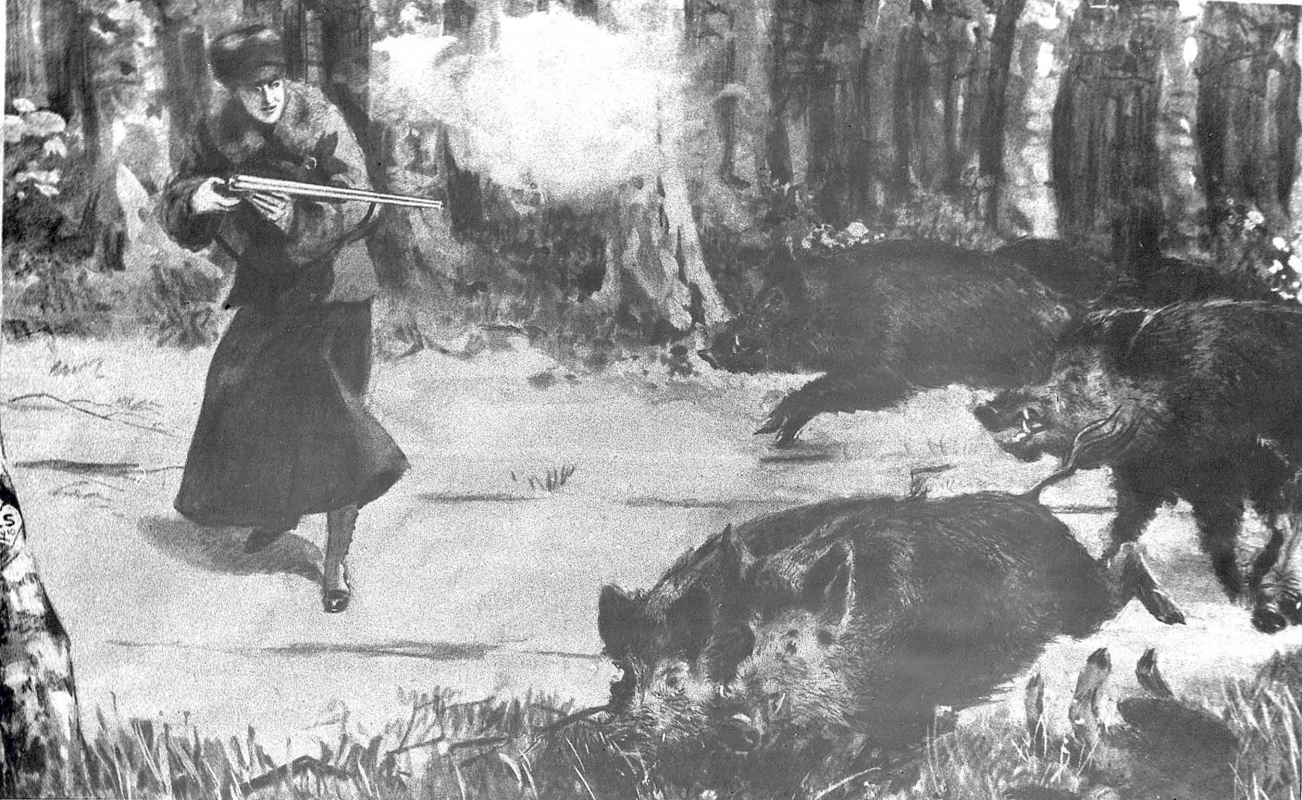Vefa de Saint Pierre : Comtesse, bardesse et chasseresse