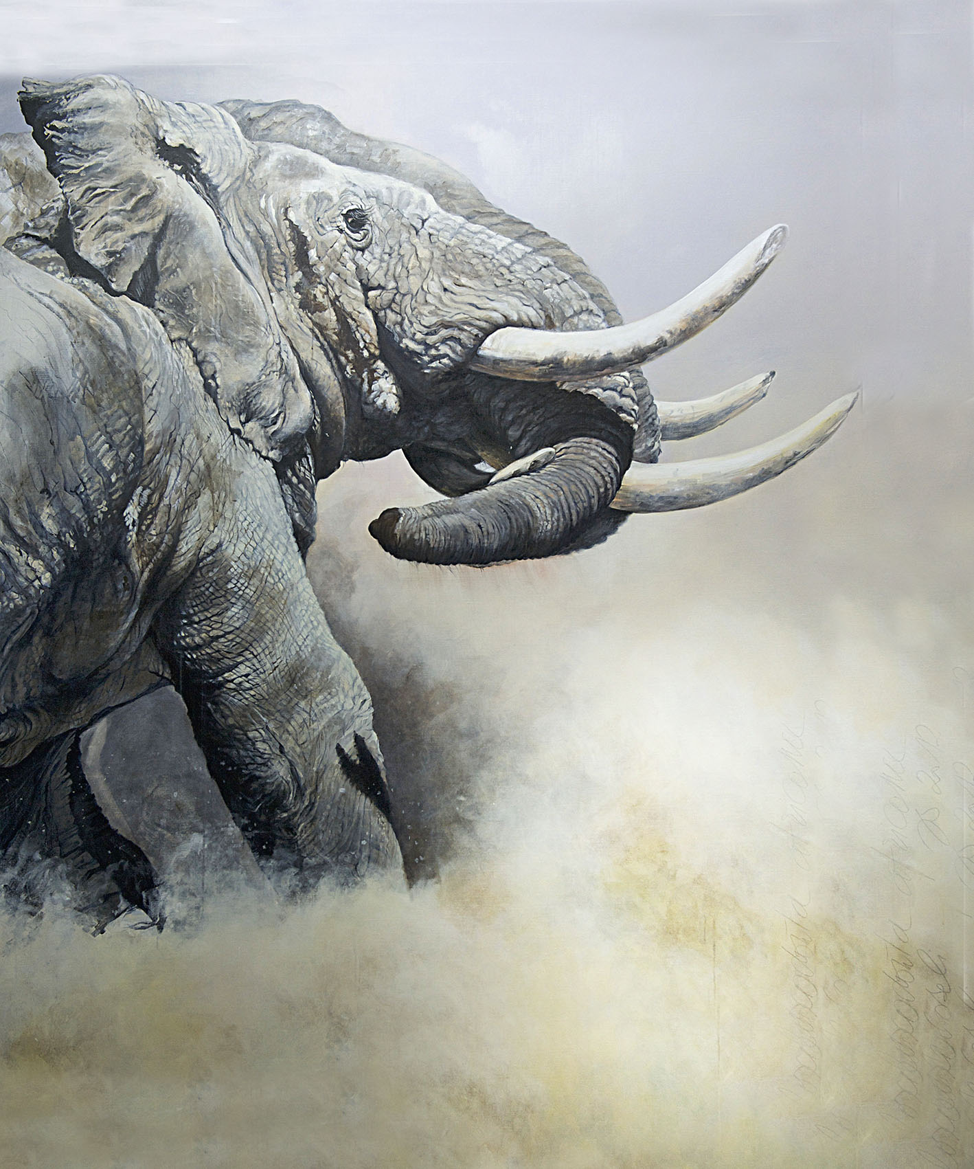 Julie Salmon : le caractère de l’animal