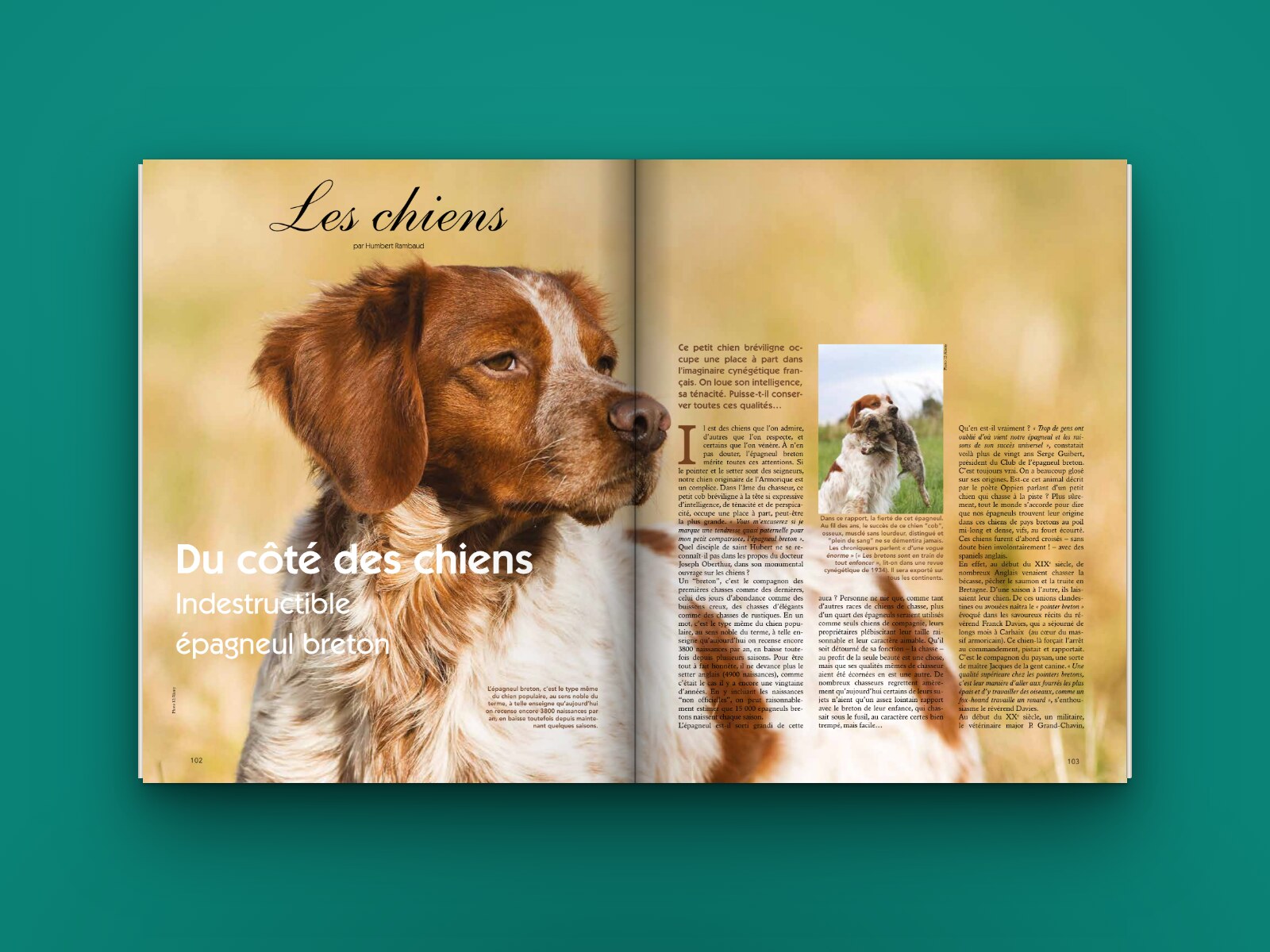 Jours de Chasse n°104 ouvert sur la double page « Du côté des chiens »
