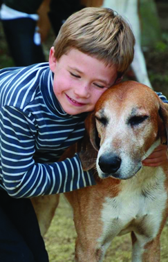 Rallye Saint-Eustache : parrainer un chien de meute