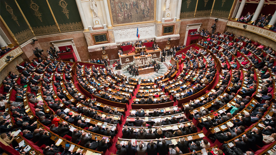 PPL antichasse : Les écologistes français ont décidément grand besoin des chasseurs !