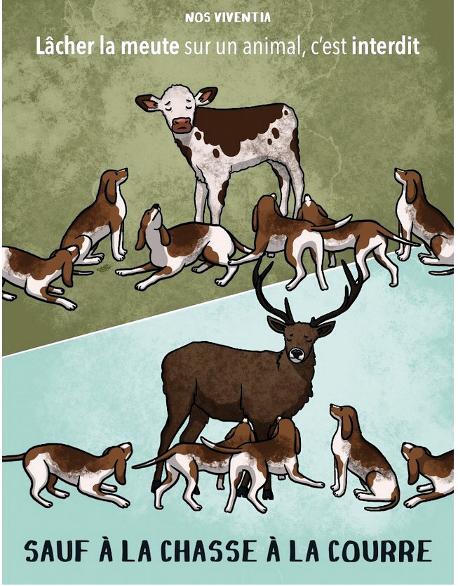 Campagne animaliste : Quand l’animal est réduit à sa seule sensibilité…