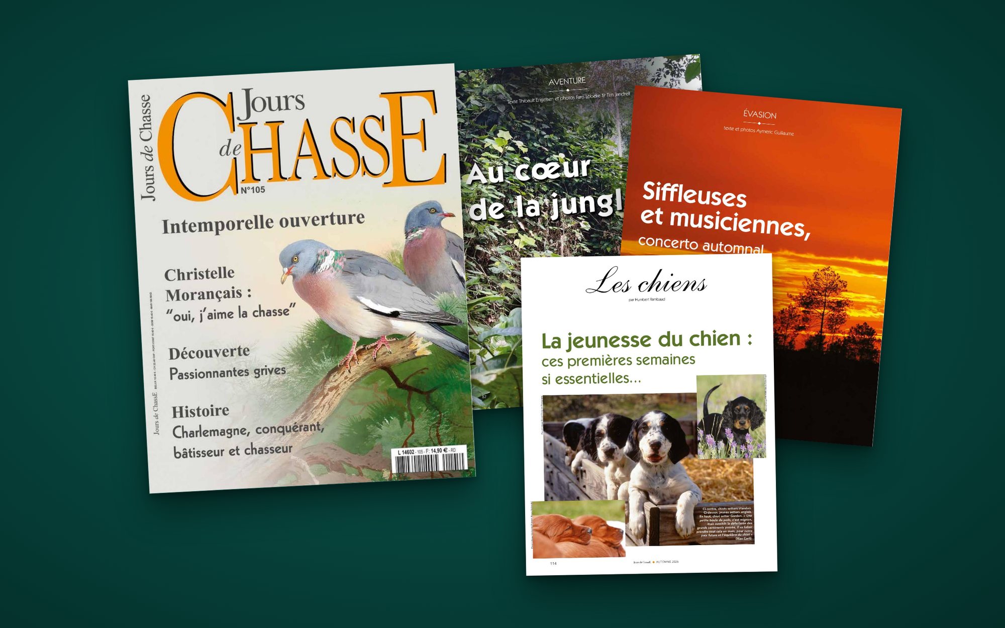 La couverture du numéro 105 posée sur trois pages d'ouverture : la jungle du Cameroun, les grives des Landes, la jeunesse du chien